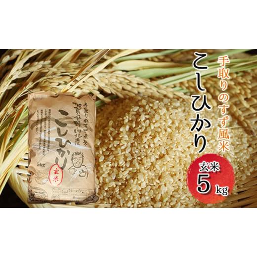 ふるさと納税 [No.5528-0007]手取りのすず風米こしひかり　玄米5kg