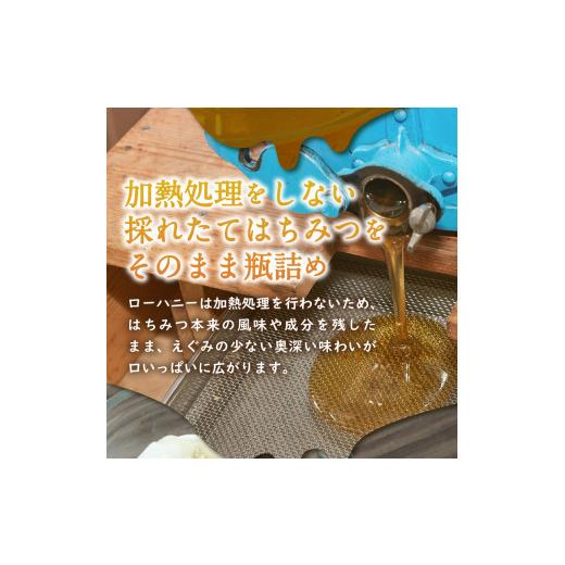 ふるさと納税 加工品等 はちみつ 静岡県 下田市 蜂蜜 ローハニー 130g 2本 500g 1本 セット はちみつ 国産 非加熱 百花蜜 生はちみつ 純粋 ハチミツ ハニー お…の画像