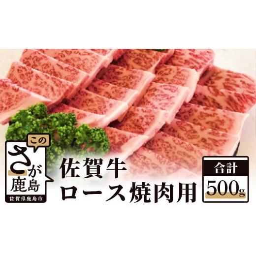 ふるさと納税 佐賀県 鹿島市 E-29 佐賀牛 ロース 焼肉用 500g