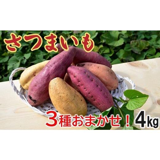 ふるさと納税 野菜類 サツマイモ 鹿児島県 南九州市 さつまいも3種おまかせ4kgセット 1185863の画像