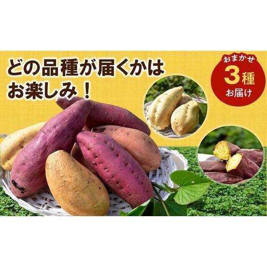 ふるさと納税 野菜類 サツマイモ 鹿児島県 南九州市 さつまいも3種おまかせ4kgセット 1185863の画像
