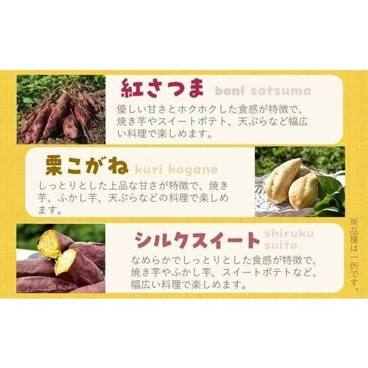 ふるさと納税 野菜類 サツマイモ 鹿児島県 南九州市 さつまいも3種おまかせ4kgセット 1185863の画像