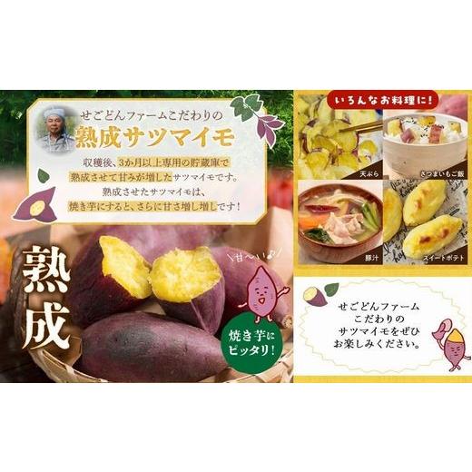 ふるさと納税 野菜類 サツマイモ 鹿児島県 南九州市 さつまいも3種おまかせ4kgセット 1185863の画像