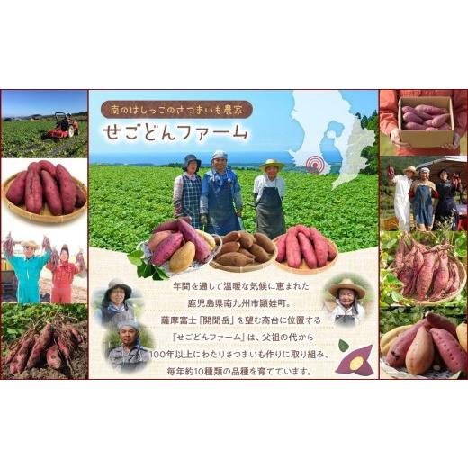 ふるさと納税 野菜類 サツマイモ 鹿児島県 南九州市 さつまいも3種おまかせ4kgセット 1185863の画像