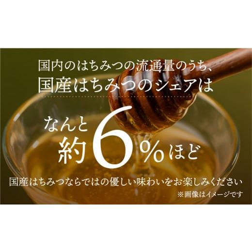 ふるさと納税 加工品等 はちみつ 岐阜県 本巣市  国産はちみつ アカシア 百花 ソヨゴ 300g × 3本 ) ボトル たれにくい 国産 常温 はちみつ ハチミツ 蜂蜜 ハ…の画像