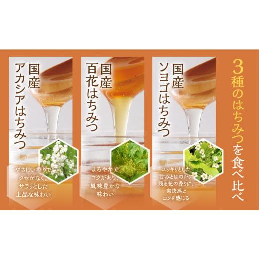 ふるさと納税 加工品等 はちみつ 岐阜県 本巣市  国産はちみつ アカシア 百花 ソヨゴ 300g × 3本 ) ボトル たれにくい 国産 常温 はちみつ ハチミツ 蜂蜜 ハ…の画像