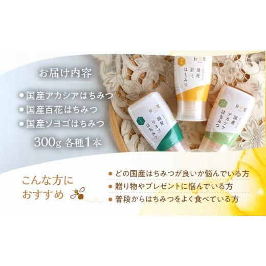 ふるさと納税 加工品等 はちみつ 岐阜県 本巣市  国産はちみつ アカシア 百花 ソヨゴ 300g × 3本 ) ボトル たれにくい 国産 常温 はちみつ ハチミツ 蜂蜜 ハ…の画像