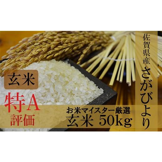 ふるさと納税 玄米 佐賀県 鹿島市 令和7年産 佐賀県産 厳選 さがびより 玄米 50kg H-4 令和7年産