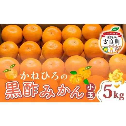ふるさと納税 果物類 みかん 佐賀県 太良町 L-39 かねひろの黒酢みかん