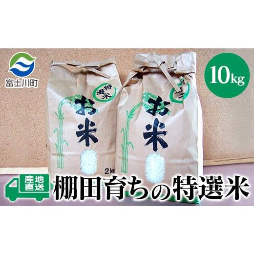 ふるさと納税 米 コシヒカリ 山梨県 富士川町 令和7年度産 新米 特選米10kg 天日干し 精米済 山梨県富士川町産 棚田米 お米 こしひかり コシヒカリ 平林
