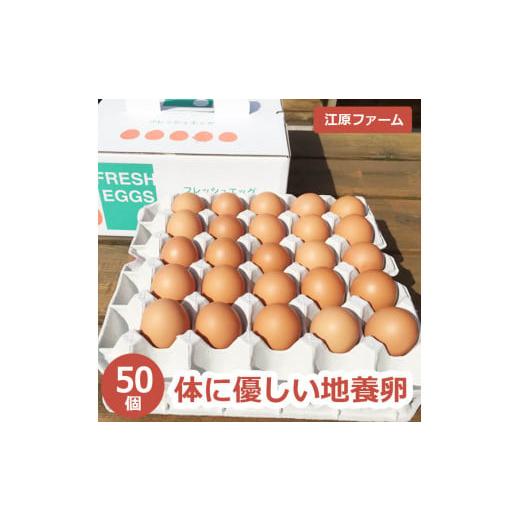 ふるさと納税 茨城県 古河市 AG04_江原ファーム 体に優しい地養卵(50個)◆