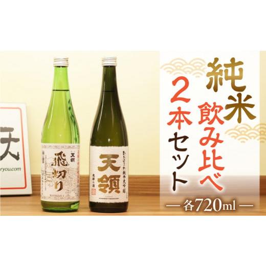 ふるさと納税 岐阜県 下呂市 [天領酒造]「純米 飲みくらべ」Bセット(特別純米酒(720ml×1本) 純米大吟醸(720ml×1本)ミニ利き猪口×2個)お酒 下呂温泉