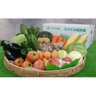 ふるさと納税 三重県 多気町 JA-04 旬の野菜と果物の詰め合わせ