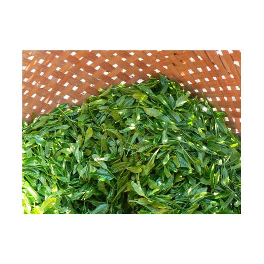 ふるさと納税 お茶類 緑茶（茶葉・ティーバッグ） 三重県 多気町 KH‐02 伊勢茶ティーバックバラエティセットの画像