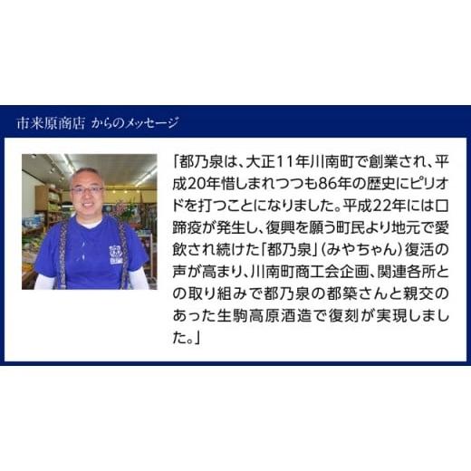 ふるさと納税 焼酎 宮崎県 川南町 宮崎県産 本格焼酎 20度「都乃泉」6