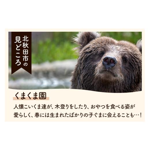 家具・装飾品 秋田県 北秋田市 水星（筋違・赤・15号）とプラグレ 2本セット 刷毛 プラグレ 樹脂 塗装 【シルエット】 食品衛生法適合