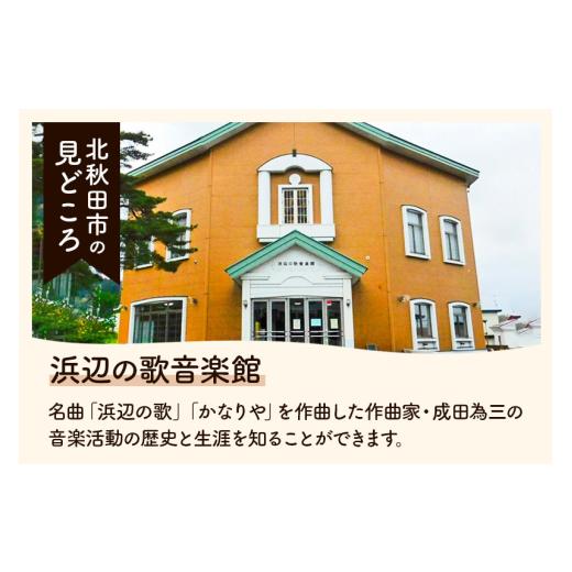 家具・装飾品 秋田県 北秋田市 水星（筋違・赤・15号）とプラグレ 2本セット 刷毛 プラグレ 樹脂 塗装 【シルエット】 食品衛生法適合