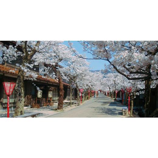 ふるさと納税 たれ・サラドレ・酢 岡山県 新庄村 2206.エテ公有りの実酢4本仕かける(新庄村産エテ公有りの実自生種当てはめる) 1489037
