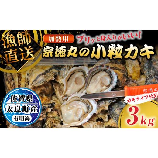 ふるさと納税 牡蠣 生牡蠣 佐賀県 太良町 宗徳丸の小粒カキ 3kg 宗徳丸 牡蠣 かき カキ 殻付きカキ 加熱用牡蠣 3kg 有明海 殻付き 生牡蠣 小粒 牡蠣ナイフ 新…