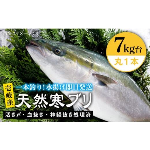 ふるさと納税 旬の鮮魚等 長崎県 壱岐市 壱岐島産天然寒ブリ(7キロ台・丸もの) [壱岐市] 壱岐島 玄海屋 JBS004 ぶり 寒ぶり ブリ 魚 刺身 しゃぶしゃぶ 7…