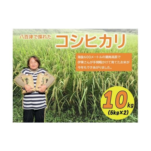 ふるさと納税 米 コシヒカリ 岐阜県 八百津町 令和7年度新米 八百津で採れたコシヒカリ 10kg(限64)