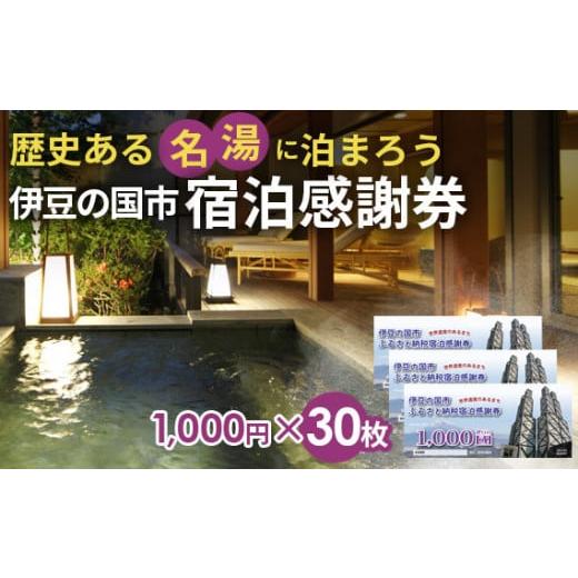 ふるさと納税 宿泊券 旅館・民宿 静岡県 伊豆の国市 伊豆の国市宿泊感謝券F(1000円×30枚) 伊豆の国市宿泊感謝券F(1000円×30枚)