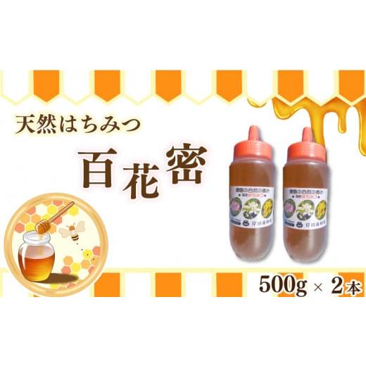 ふるさと納税 加工品等 はちみつ 徳島県 吉野川市 はちみつ 百花蜜 500g ボトル 2本セット 天然はちみつ 蜂蜜 健康食品 美容 食品 栄養豊富 ギフト 贈答 人気 …
