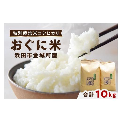 ふるさと納税 米 コシヒカリ 島根県 浜田市 令和7年産 浜田市金城町産の美味しいコシヒカリ100% おぐに米 10kg 10キロ 米 おこめ コシヒカリ 白米 精米 特産…