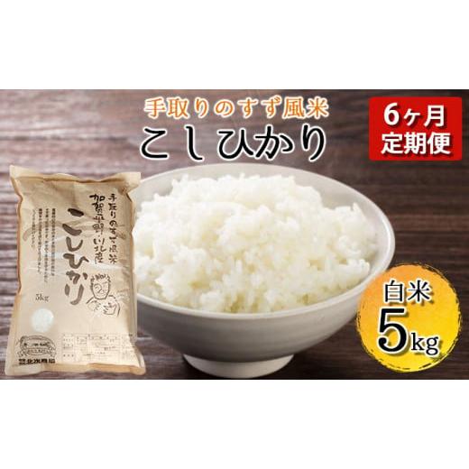 ふるさと納税 石川県 川北町 [No.5528-0020]【令和5年度産】手取りのすず風米こしひかり　白米5kg入　6ヶ月連続｜furusatochoice｜02