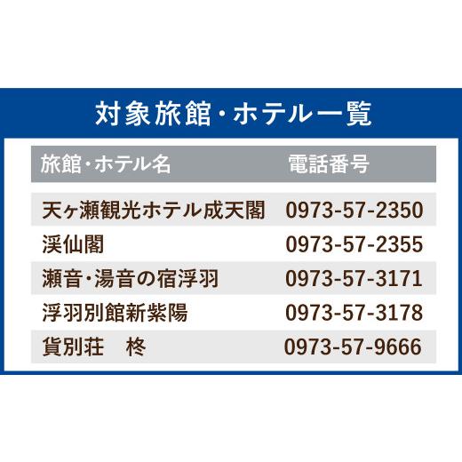 ふるさと納税 大分県 日田市 Ｃ−１７　天ヶ瀬温泉旅行 クーポン 