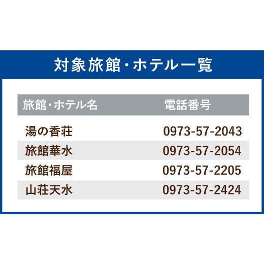 ふるさと納税 大分県 日田市 Ｃ−１７　天ヶ瀬温泉旅行 クーポン 