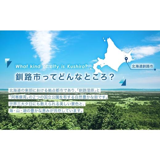 ふるさと納税 蟹 毛ガニ 北海道 釧路市  浜茹で 沸騰させる毛ガニ3.0kg 端っこ（凝結）5尾入り口・入口 ふるさと納税 かに 蟹 F4F-5472