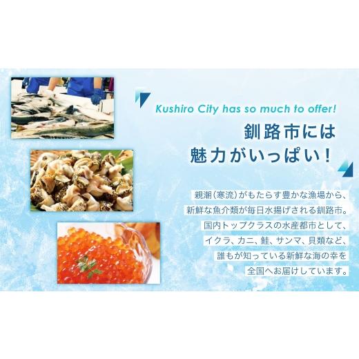 ふるさと納税 蟹 毛ガニ 北海道 釧路市  浜茹で 沸騰させる毛ガニ3.0kg 端っこ（凝結）5尾入り口・入口 ふるさと納税 かに 蟹 F4F-5472