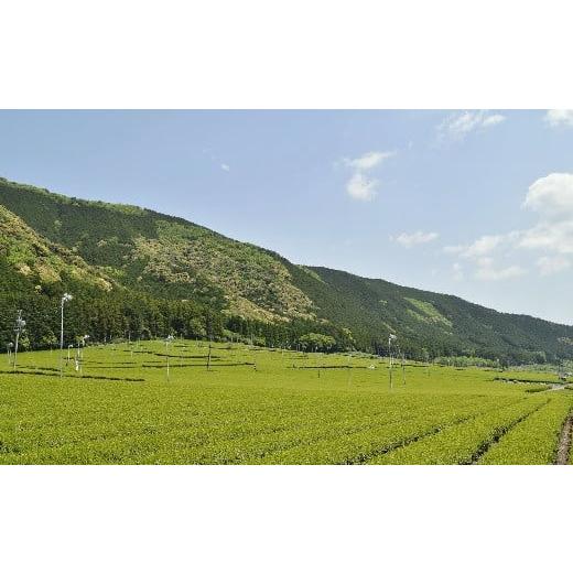 ふるさと納税 紅茶 茶葉・ティーバッグ 三重県 松阪市  1-40 伊勢の和紅茶とフレーバーティ3種セット_3
