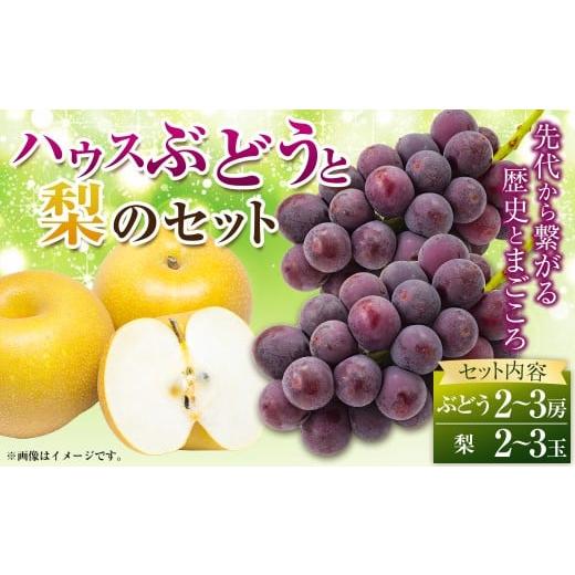ふるさと納税 ぶどう 巨峰 福岡県 うきは市 先行予約 種あり ハウスぶどう (2〜3房) 梨 (2〜3玉) セット 2026年8月下旬より順次発送予定 春光園 有機配合…