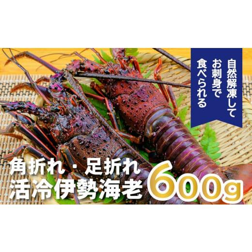 ふるさと納税 三重県 紀北町 伊勢えび(活冷)2〜4尾(600g) バタバタしたら角と足がとれちゃいました[訳あり][BB25]