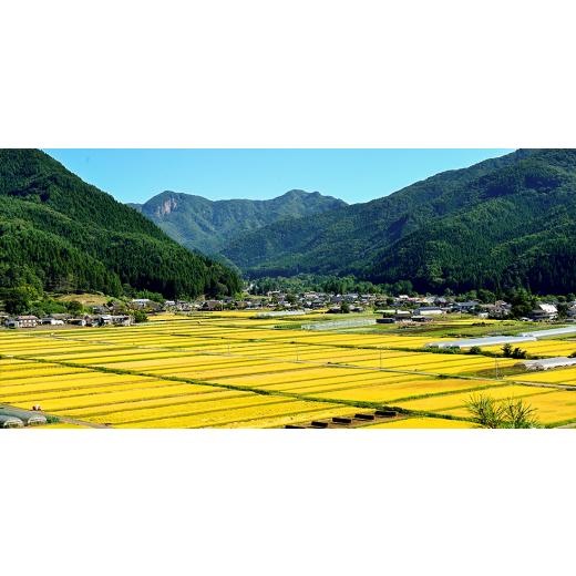 ふるさと納税 飲料類 乳飲料 群馬県 川場村 川場のむヨーグルト150ml　16本セット 1026845 川場のむヨーグルト150ml　16本セット_5