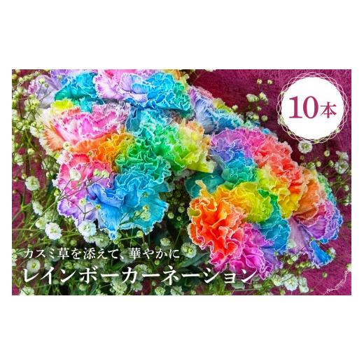 ふるさと納税 雑貨・日用品 花 千葉県 南房総市 レインボーカーネーション 10本セット mi0019-0005 カーネーション かすみ草 母の日 プレゼント 観賞の画像