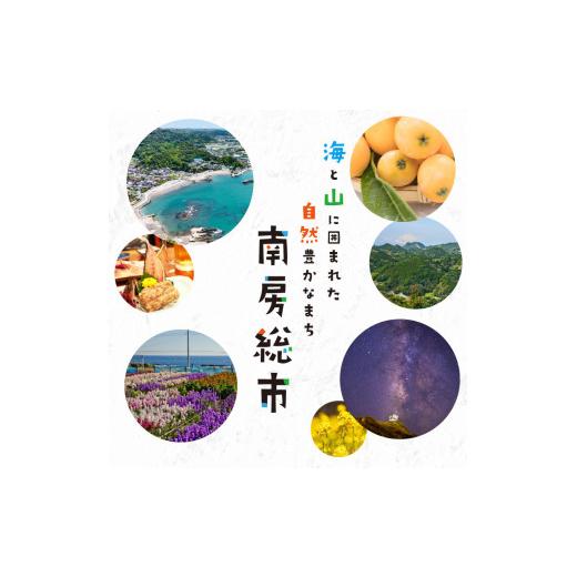 ふるさと納税 雑貨・日装具 花 千葉県 南房総市 大輪夢見鳥蘭白５本立 mi0013-0004 花 差し上げ物 夢見鳥蘭 大輪 晴れ晴れしい 観葉草木 花持ち 御祝い