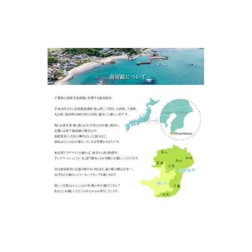 ふるさと納税 雑貨・日装具 花 千葉県 南房総市 大輪夢見鳥蘭白５本立 mi0013-0004 花 差し上げ物 夢見鳥蘭 大輪 晴れ晴れしい 観葉草木 花持ち 御祝い