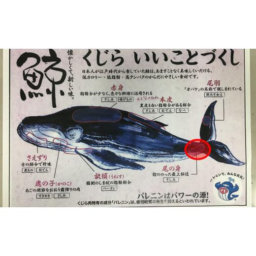 ふるさと納税 千葉県 南房総市 【希少＆高級】ひげ鯨(イワシ鯨・ナガス鯨・ニタリ鯨)尾肉1kg mi0012-0049 イワシ鯨 ナガス鯨 ニタリ鯨
