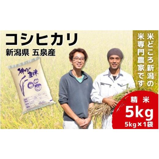 ふるさと納税 米 コシヒカリ 新潟県 五泉市 令和7年産 新米 米 5kg 五泉産 コシヒカリ | 白米 精米 こしひかり お米 おこめ コメ こめ おすすめ 人気 新潟県 …