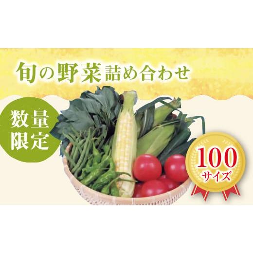 ふるさと納税 セット・詰合せ 三重県 松阪市  1-7 旬の野菜詰合せ おまかせセット 限定30／月_1