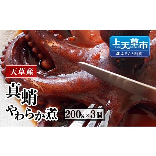 ふるさと納税 タコ 熊本県 上天草市 天草産真蛸のやわらか煮（たこ
