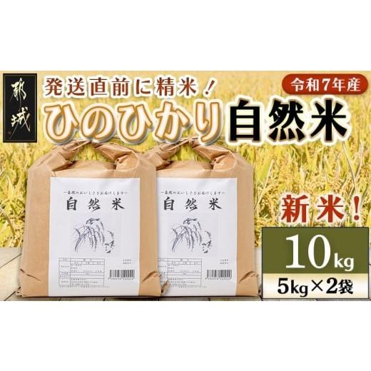 ふるさと納税 米 ヒノヒカリ 宮崎県 都城市 都城市高崎町産ひのひかり「自然米」10kg_29-6801_(都城市) 5kg×2袋 高崎町 ヒノヒカリ 白米 お米10kg 産地直送 …