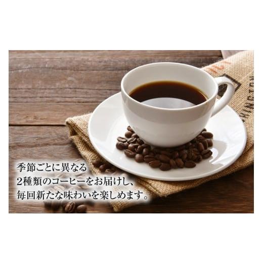 ふるさと納税 コーヒー コーヒー豆 山梨県 韮崎市 コーヒー 豆 珈琲 定期便 12回 自家焙煎 スペシャルティコーヒー 季節 ギフト ギフトセット 200g 2種類 総計…の画像