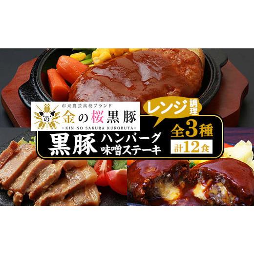 ふるさと納税 鹿児島県 いちき串木野市 B-171H 鹿児島県産黒豚煮込みハンバーグ2種と味噌のステーキセット