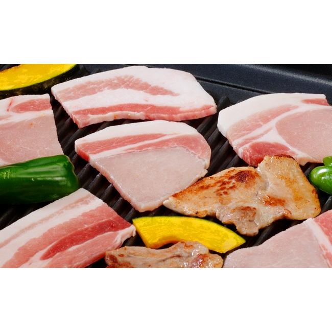 ふるさと納税 沖縄県 南風原町 沖縄キビまる豚　アラカルトセットＢ（2.1kg） 焼肉用