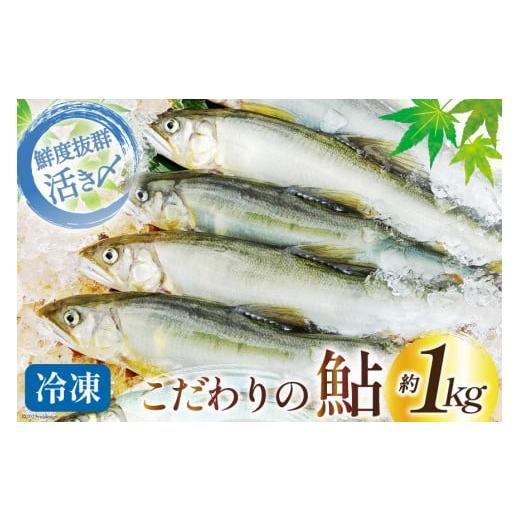 ふるさと納税 川魚 あゆ 宮崎県 日向市 鮎 冷凍 こだわりの鮎 約1kg