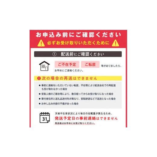 【全商品オープニング価格 特別価格】 ふるさと納税 山形県 寒河江市 種無しぶどう「デラウェア」約1.8kg （8〜16房） 2024年産 秀品【2024年7月末頃〜8月末頃発送予定】山形県産　012-B-MM010